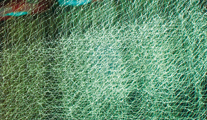  — Із серії «Supersonic», 2007