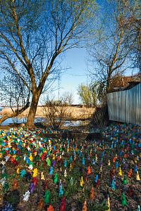 Петушки из серии "300 спартанцев", 2014