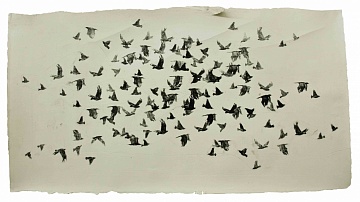 Из серии "Птицы", 2009
