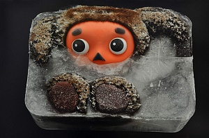 «Полярник» из серии «Грабли», 2009