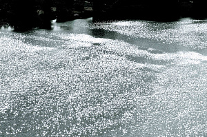  — Із серії «Сяюче озеро», 2009