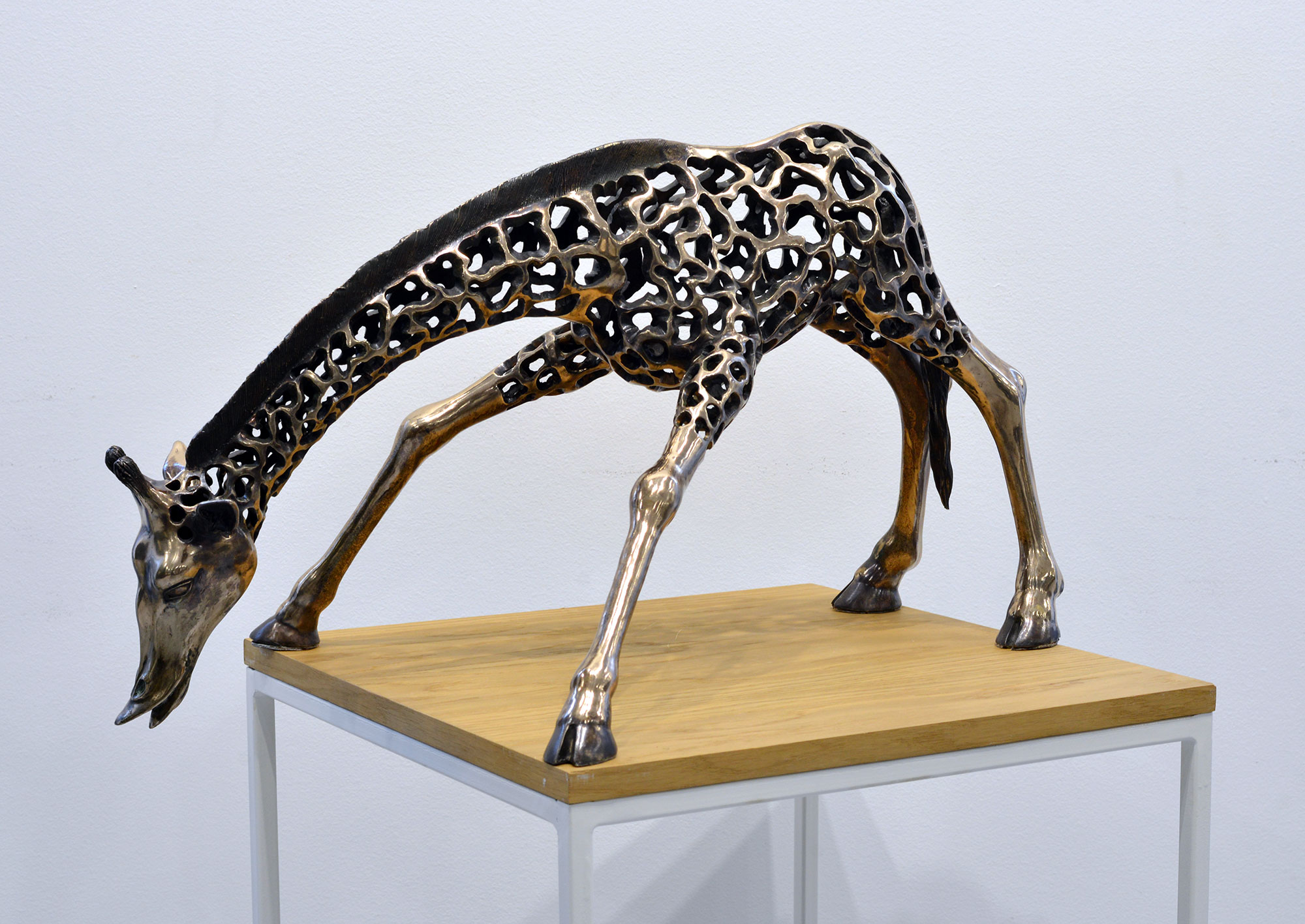 «Жираф», 2000 - 6