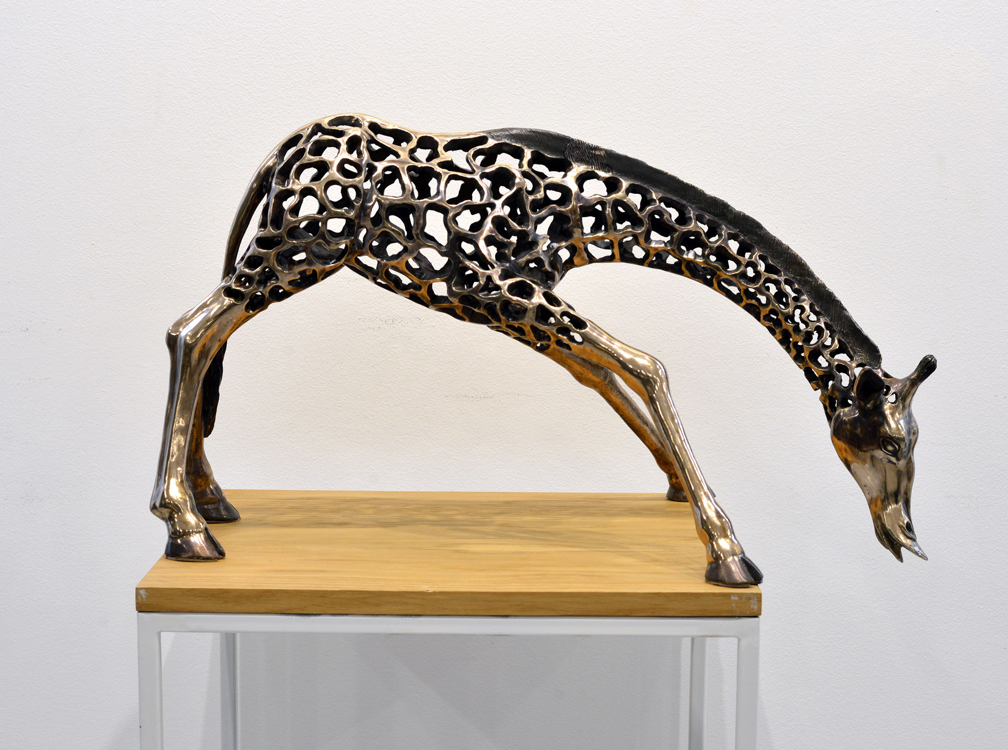 «Жираф», 2000 - 3