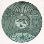 «Экслибрис Наталки Игнатов», 1979