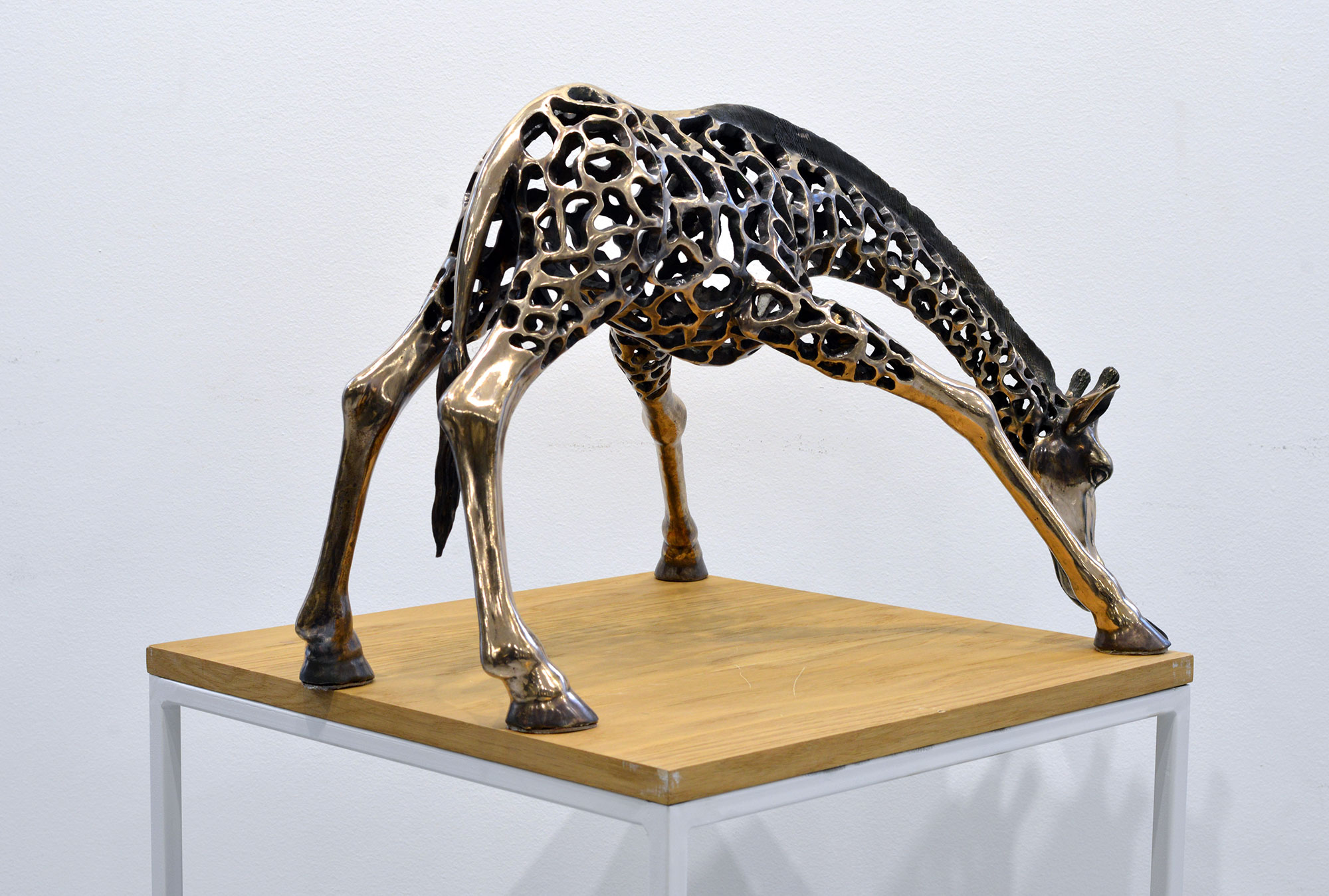 «Жираф», 2000 - 4