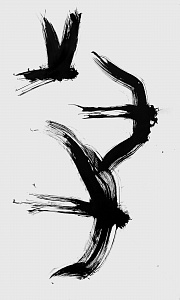 3 ластівки, 2019