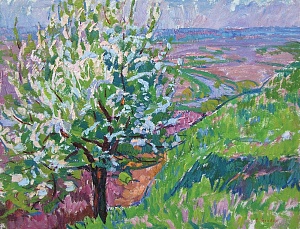  — «Весна», 1970-і