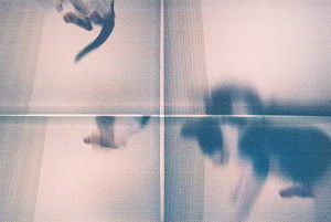 "Ощущение разорванной целостности", 2010