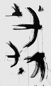 6 ластівок, 2019