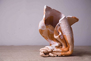 Антиваза, 2010