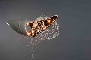 «Controlled shark», 2010