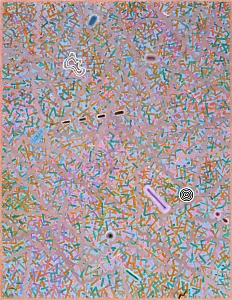 "Повітря 10", 2017