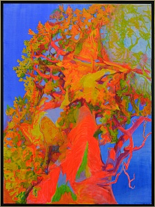 «Діти на деревах», 2012