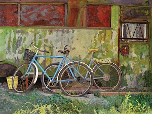 «Скрытые чувства», 2012