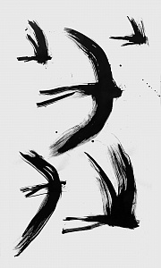 5 ластівок, 2019