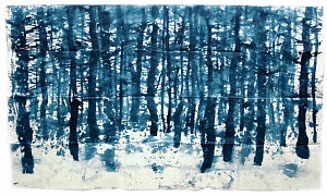 Лес на горе Синица, 2009