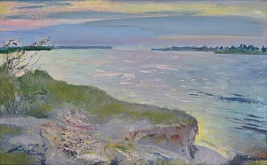 Дніпровськи береги, 1978