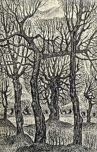 «Из жизни деревьев», 1975