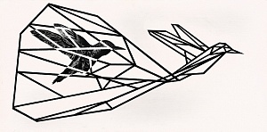 Из серии «Клетка», 2012