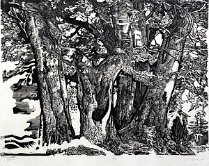 «Буки», 1970-е