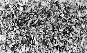  — «Абстрактна композиція», 1974