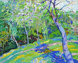  — «Весна», 1970-і