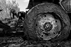 Из серии "Иза", 2010