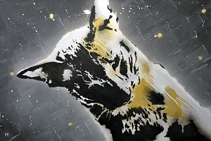 «Maine Coon», 2016